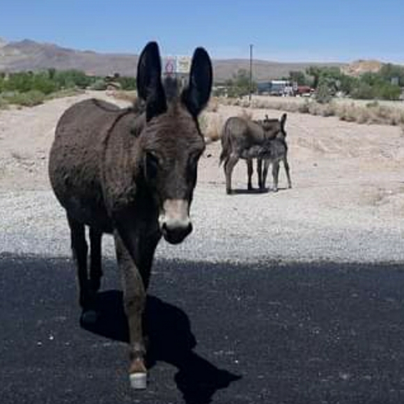 Halloween Party with @1605closet and Myself 🎃🤪🎉 Monday 6th - Picture 11 of 15